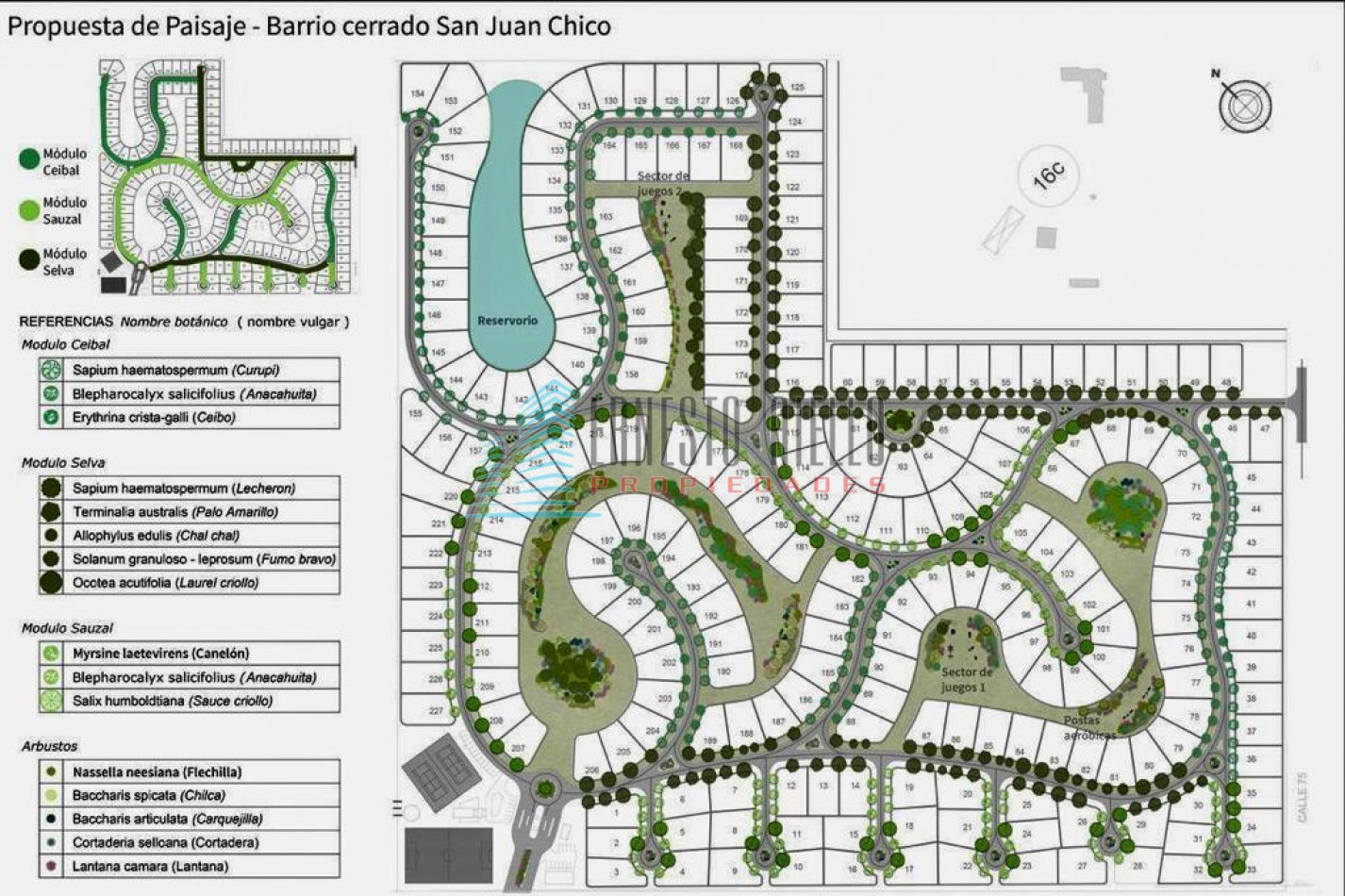 A. VENTA LOTE EN SAN JUAN CHICO FRENTE A LA LAGUNA CALLE CERRADA