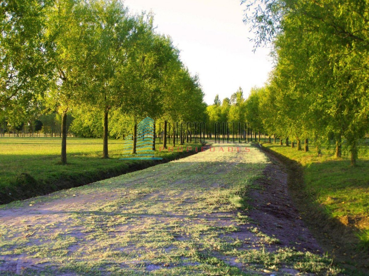 Am. VENTA LOTE FONDO AL LAGO EN POSADAS DE LOS LAGOS- FINACIANDO!