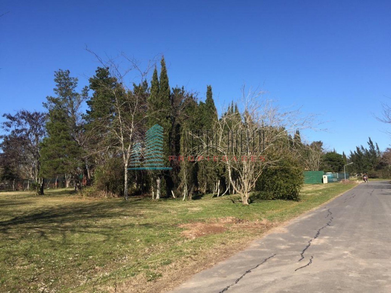 A. VENTA LOTE BARRIO I VILLA 9 GREENVILLE POLO & RESORT